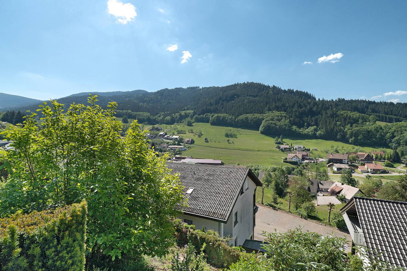 Ganze Wohnung, Ferienwohnung 'Kuckuckslockennest' mit Bergblick, privater Terrasse und Wi-Fi in Seebach, Mittlerer Schwarzwald