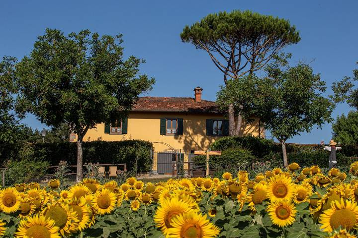 Location de vacances pour 12 personnes, avec jacuzzi ainsi que terrasse et sauna à Poppi - 4