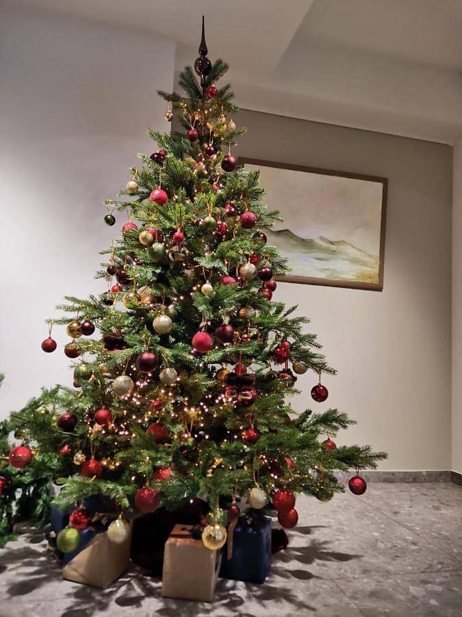 Hôtel pour 2 personnes, avec balcon à Alost - 4