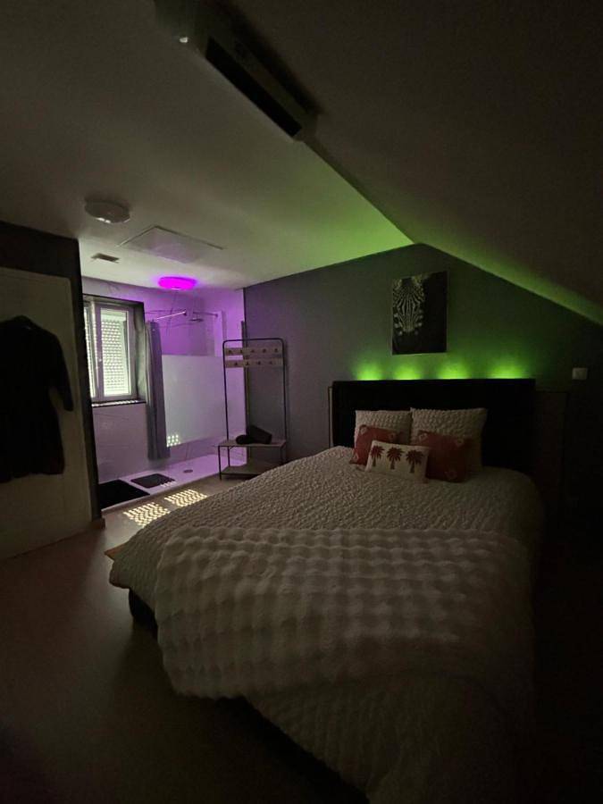 Gîte pour 2 personnes, avec jardin et terrasse ainsi que sauna et jacuzzi à Denain - 4
