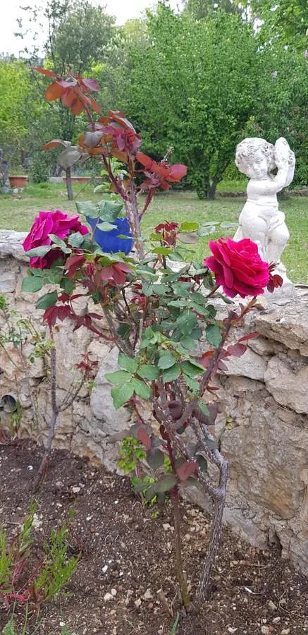 Casa de vacaciones para 6 personas, con jardín - 1