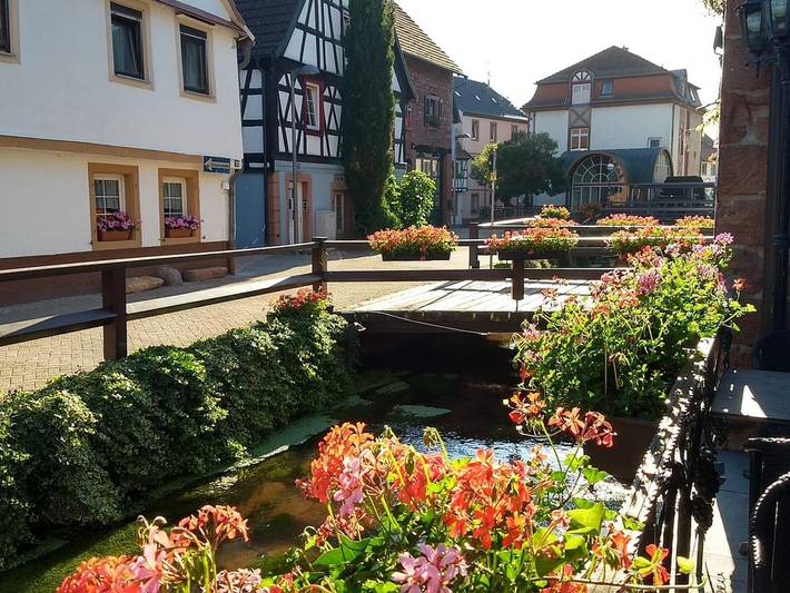 Ferienwohnung für 4 Personen in Annweiler - 3