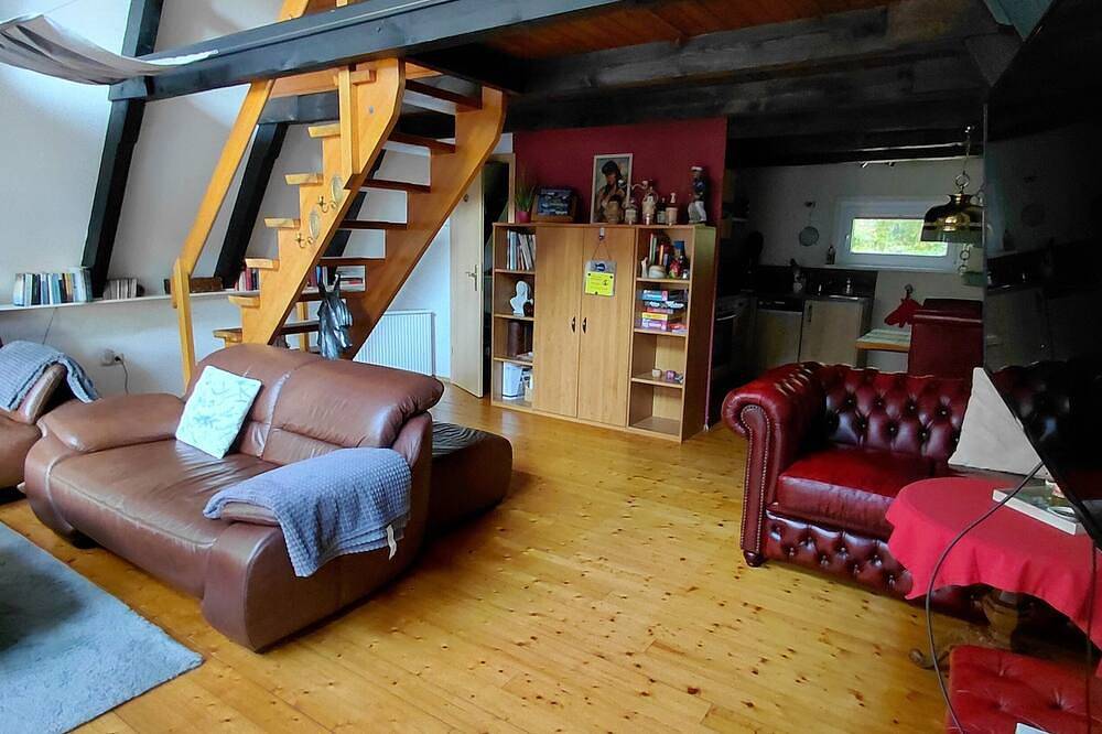 Endlich mal was anderes in Gartow, Landkreis Lüchow-Dannenberg