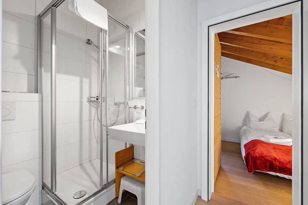 Geheel appartement, Aragon P36 by Interhome in Ernen, Aletsch Arena