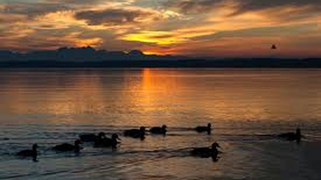 Ganze Ferienwohnung, Ferienwohnung für 2 Personen (45 m²) in Seebruk in Seebruck, Chiemsee