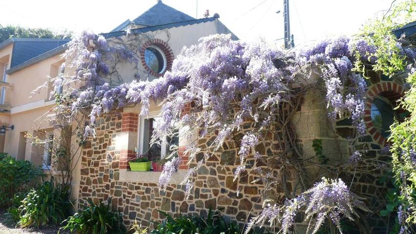 Casa de vacaciones para 5 personas, con jacuzzi y jardín - 1