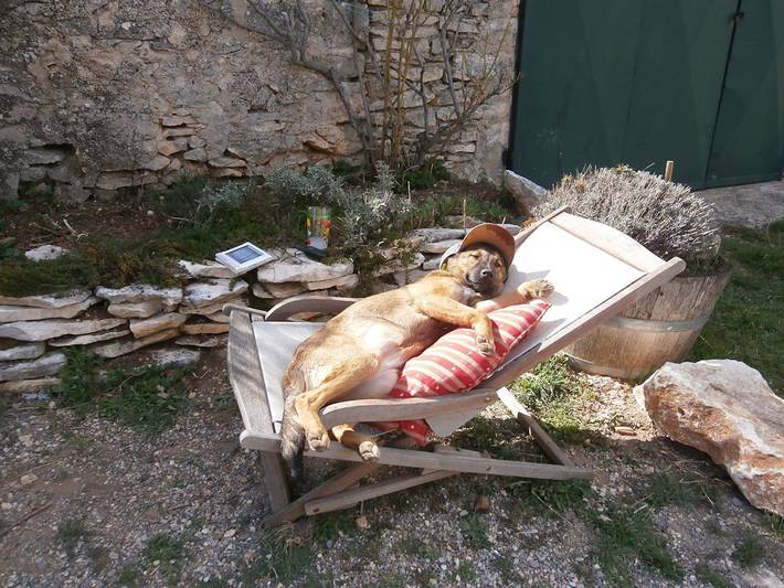 Gîte pour 5 personnes, avec jardin et terrasse, animaux acceptés à Saint-Saturnin-lès-Apt - 3