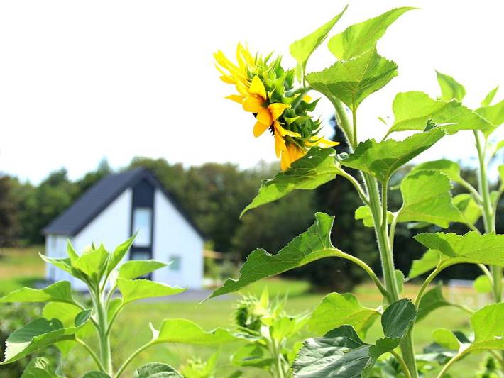 Ferienwohnung mit 3 Schlafzimmer in Gillenfeld, Vulkaneifel