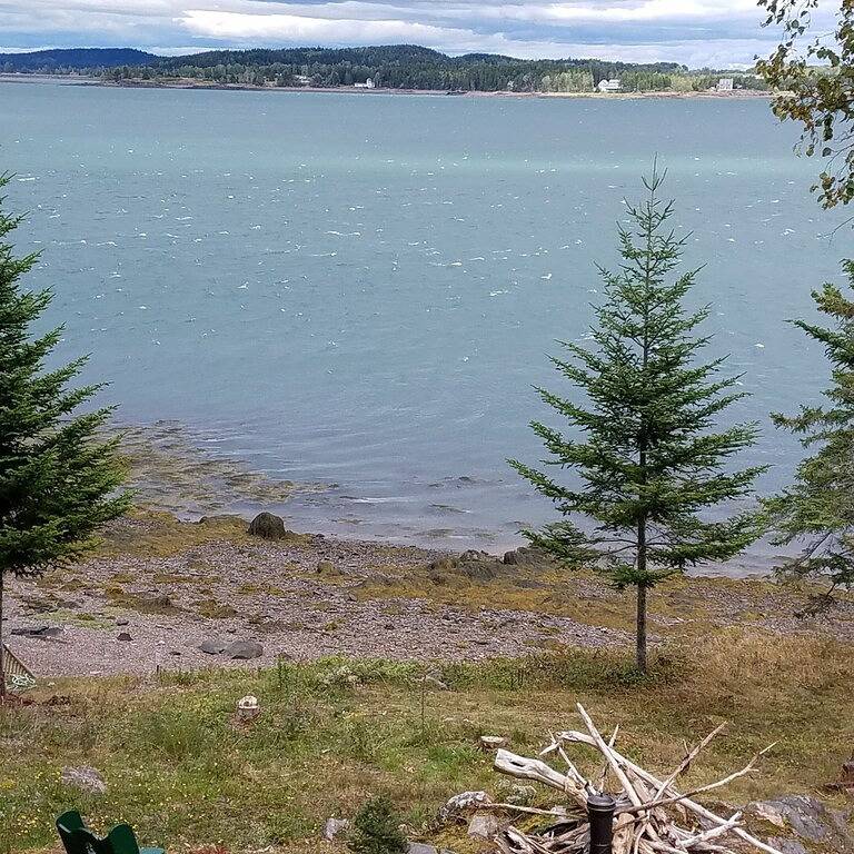 Tiny cabin Big Charm/Military discount/Fire pit/ Beach/No pet fee in Washington County (Maine)