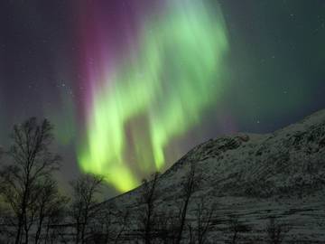 Hütte für 8 Personen in Mølnarodden, Flakstad, Bild 2