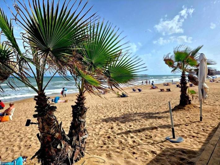 Chalet para 8 personas, con vistas y piscina además de vistas al lago y jardín, Se admiten mascotas en Torrevieja