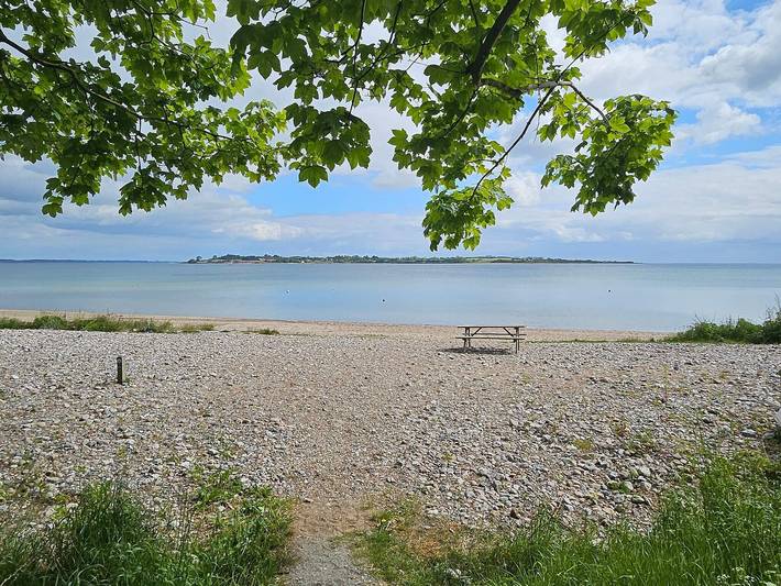 Ferienhaus für 12 Personen, mit Terrasse, kinderfreundlich in Loddenhøj - 4
