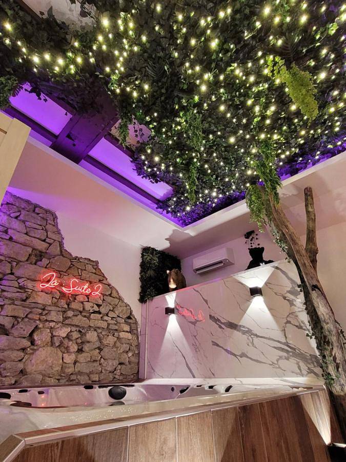 Grenoble La Suite 2 spa jaccuzzi et sauna privatif in Grenoble, Isère