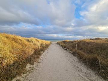 Ferieudlejning til 10 Personer i Marielyst, Lolland-Falster, Billede 4