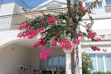 Ferienwohnung für 4 Personen in Primosten