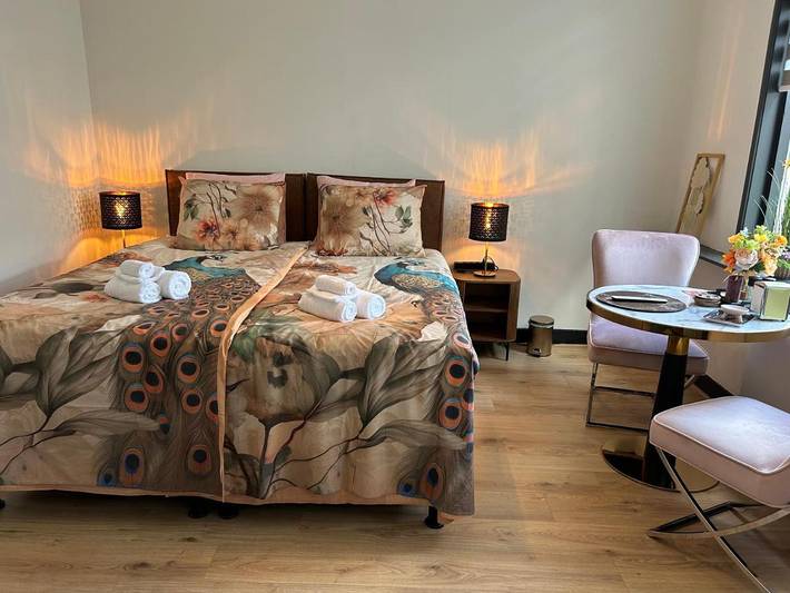 Chambre d’hôte pour 2 personnes, avec Terrasse et Vue à Vlissingen