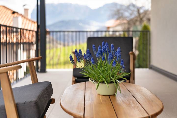 Hel lägenhet, New Apartment 'Vinea Guesthouse  Terrace' with Mountain View, terrace and Air Conditioning in Karneid, Rosengarten-Latemar
