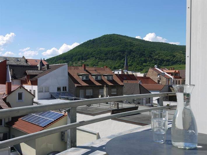 Ferienwohnung für 3 Personen, mit Balkon und Terrasse in Neustadt an der Weinstraße - 2