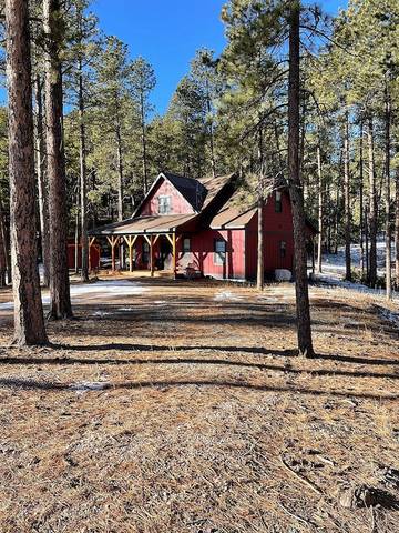 Glamping for 6 Guests in Black Hills, South Dakota, Picture 2
