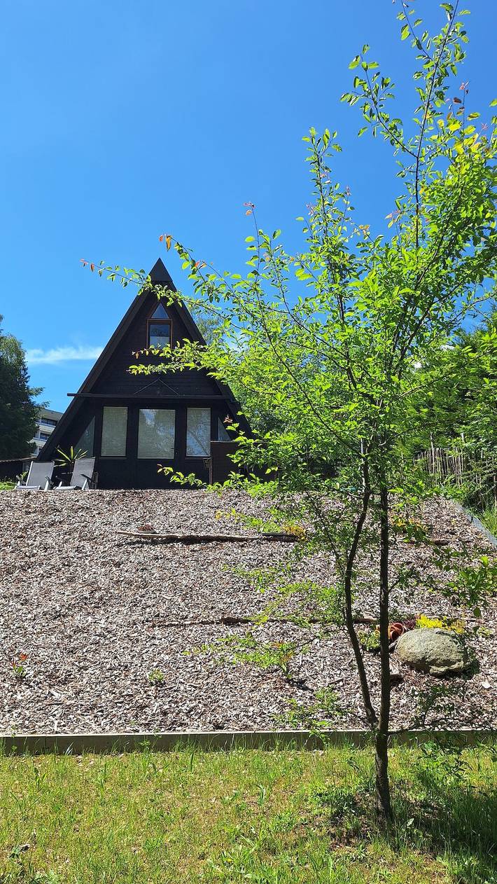 Ferienwohnung für 4 Personen, mit Balkon und Balkon/Terrasse sowie Terrasse und Garten in Dreiländereck (D-A-CZ) - 3