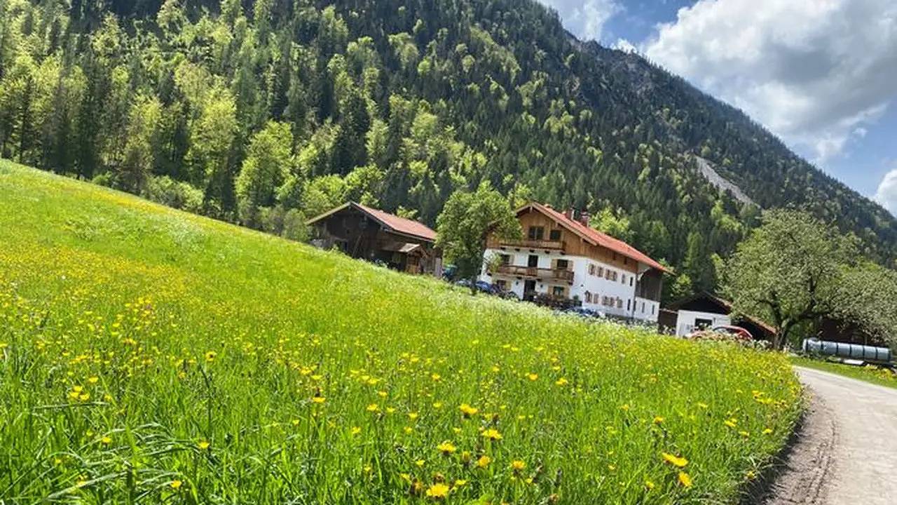 Ganze Ferienwohnung, Ferienwohnung für 2 Personen (40 m²) in Bayrischzell in Sudelfeld, Bayrischzell