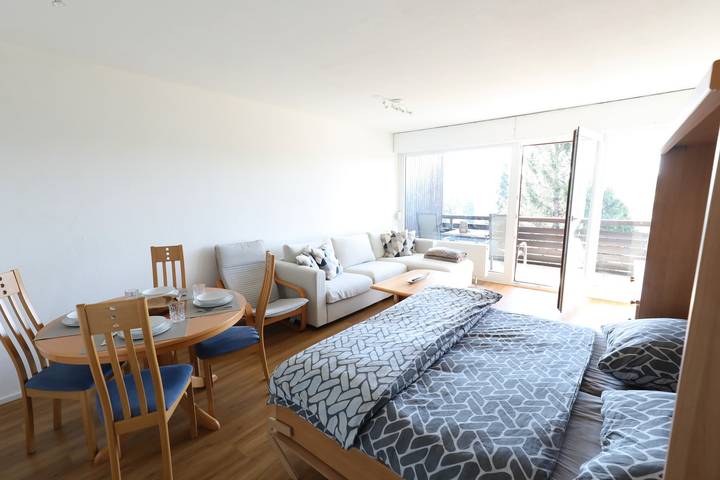 Ferienwohnung für 4 Personen, mit Sauna und Balkon in Schonach im Schwarzwald - 2