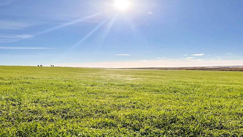 Ferienhaus für 3 Personen, mit Whirlpool und Pool in Højer - 4