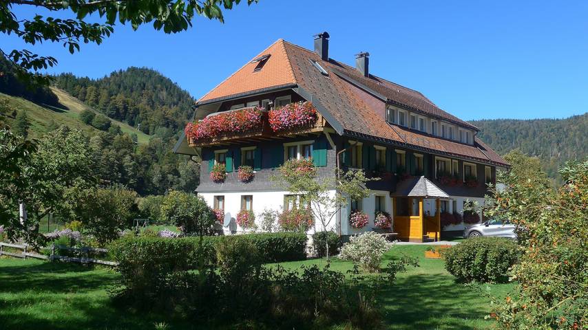 Zimmer 'Zimmer 3 Mit Balkon' mit Bergblick, Gemeinschaftsterrasse und Wi-Fi in Menzenschwand Hinterdorf (St. Blasien), St. Blasien