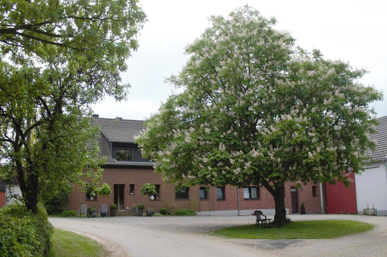 Ganze Wohnung, Hardthof - Hürtgenwald in Hürtgenwald, Rureifel (Nordrhein-westfalen)