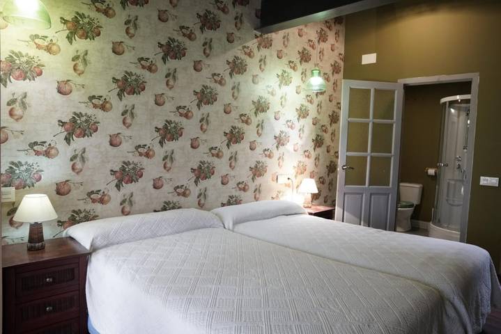 Casa rural para 13 personas, con jardín en Ribera del Duero - 3