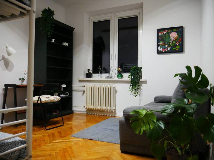 Entire apartment, Spacious Designer 4-Room Apartment in Center in Warsaw Śródmieście, Warsaw