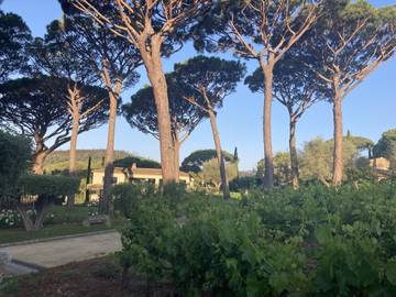 Cottage pour 2 personnes, avec piscine et jardin à Grimaud