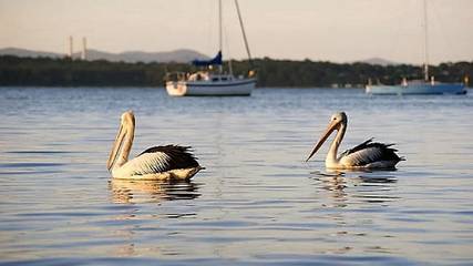 Holiday Home for 7 People in Lake Macquarie, New South Wales, Photo 3