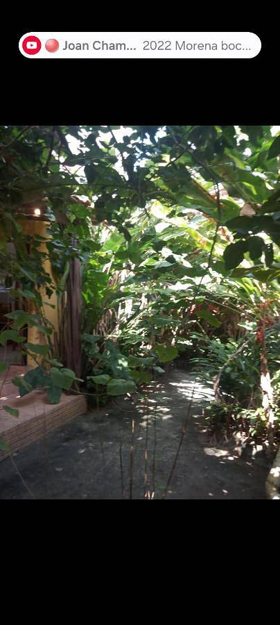 Gîte pour 2 personnes, avec jardin dans Ilha de Boipeba - 4