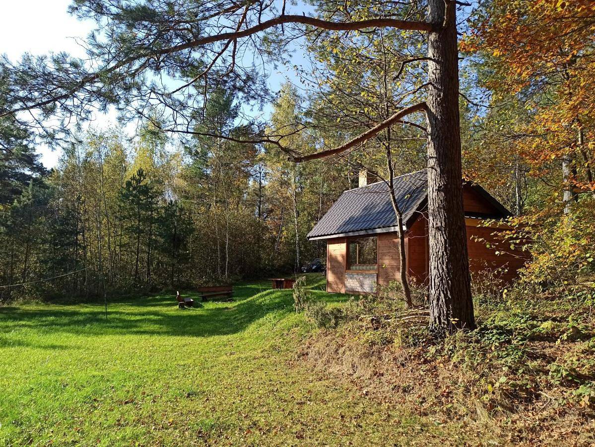 Survivalowa chata w lesie in Karpaty (Polska)