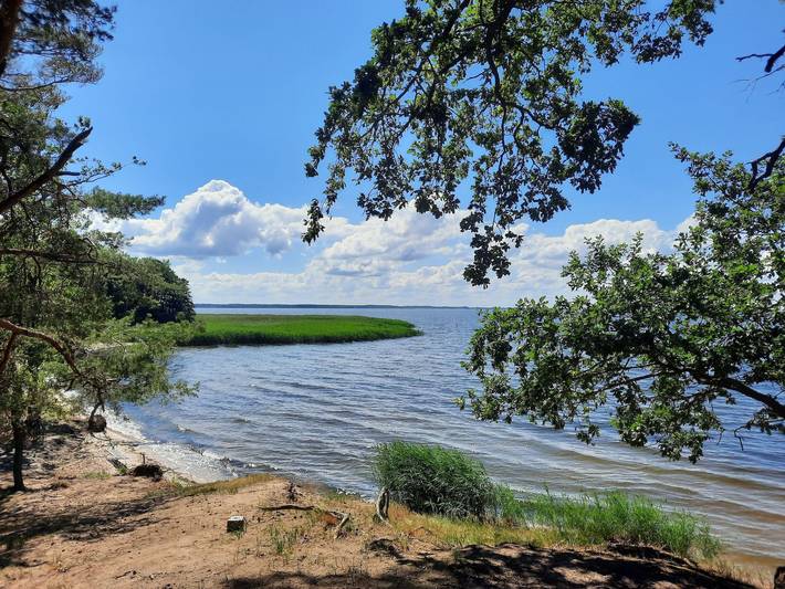 Ferienwohnung für 3 Personen, mit Garten in Altwarp - 4