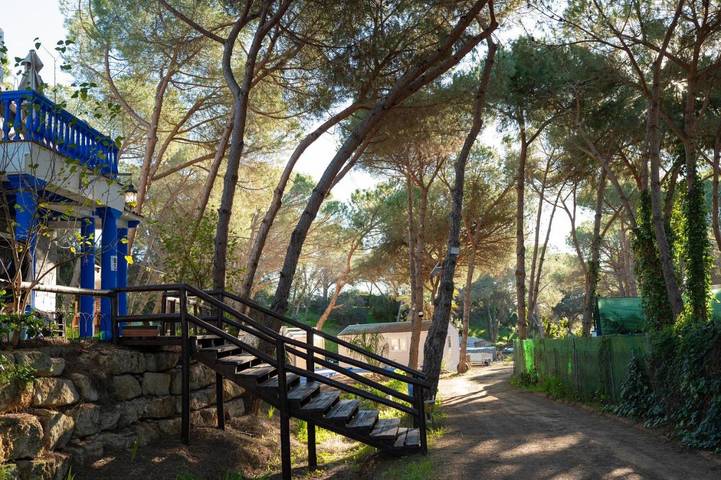 Casa rural para 8 personas, con jacuzzi además de jardín y piscina en Isla Cristina - 3