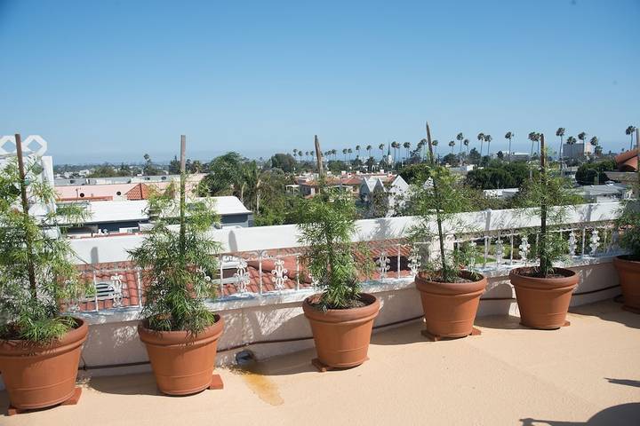 Location de vacances pour 6 personnes, avec terrasse à Santa Monica - 2