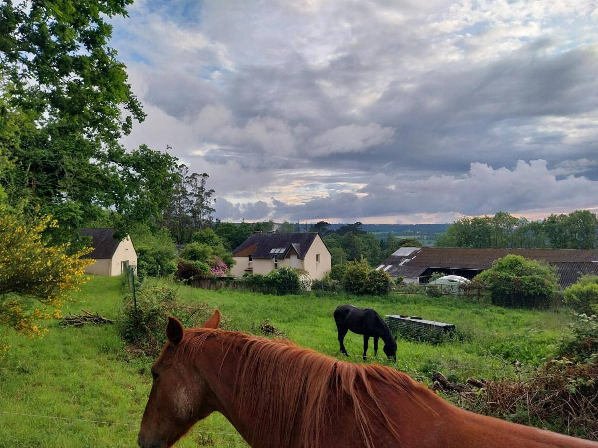 Ferme du Kastel Dinn in Rosnoën, Région de Châteaulin
