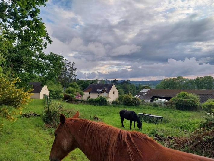 Location de vacances pour 4 personnes à Rosnoën - 2