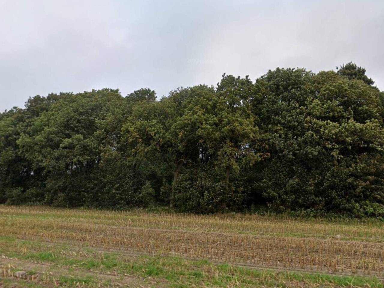 5 star holiday home in Hovborg-By Traum in Hovborg, Vejen