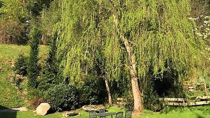 Ferienwohnung für 4 Personen in Hornberg, Hochschwarzwald, Bild 4