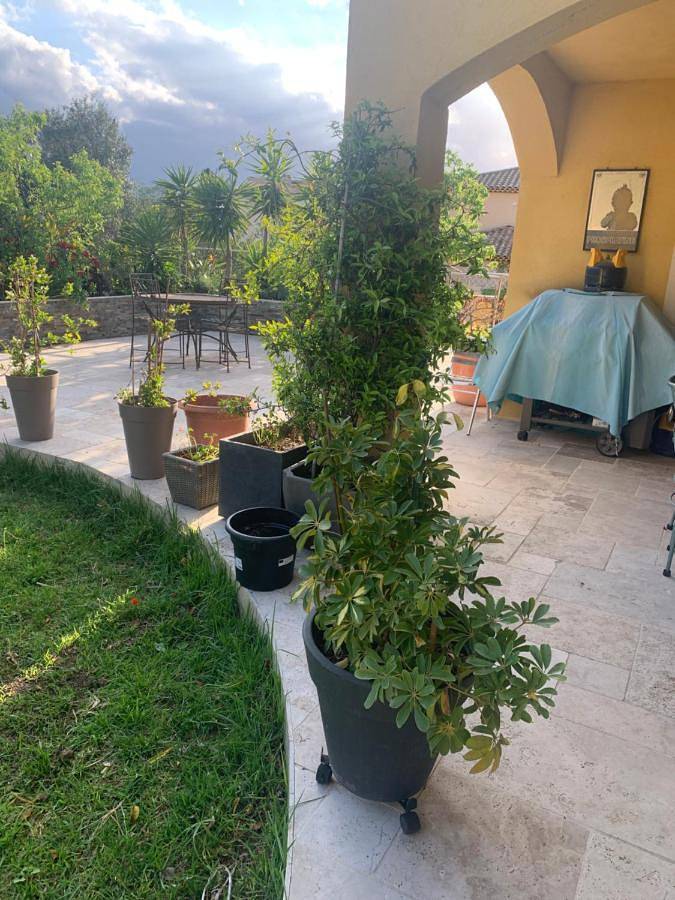Chambres de la Terre Blanche in Sanary-sur-Mer, Côte méditerranéenne (France)