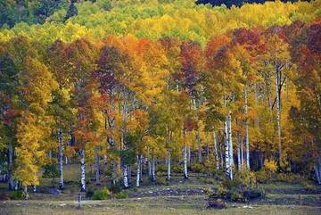 Vacation House for 6 Guests in San Juan National Forest, La Plata County, Picture 3
