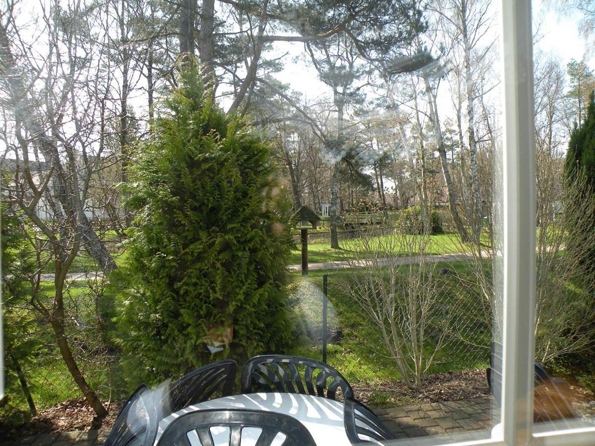 Studio with Balcony in Dierhagen Strand, Dierhagen