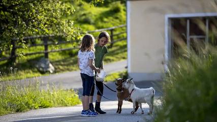 Hütte für 4 Personen in Laßnitz bei Murau, Murau (Kreischberg), Bild 3