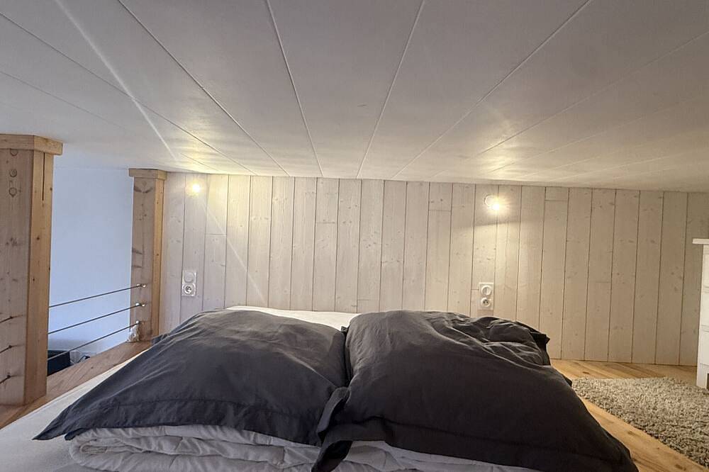 Entire apartment, Studio duplex hyper center 4 persons in Le Lioran, Laveissière