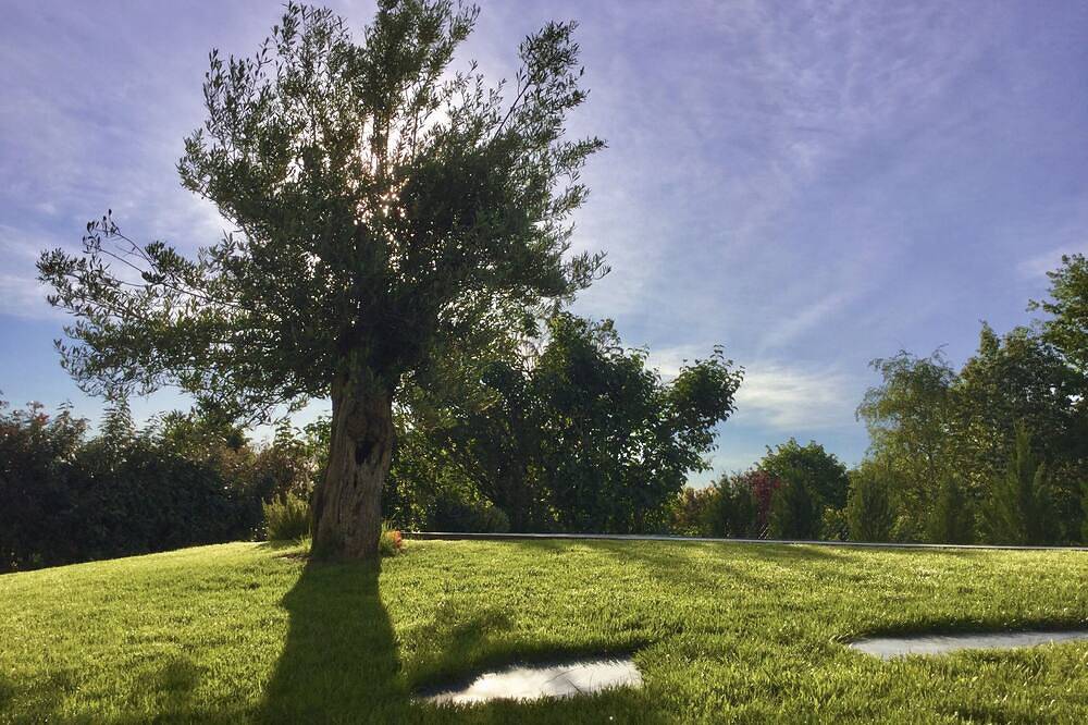 Studio Meublé 2 Personnes in Castelmaurou, Haute-Garonne