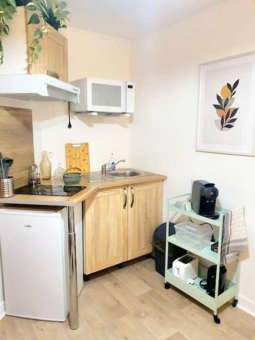 Gîte pour 3 personnes, avec jardin à Sautron - 4