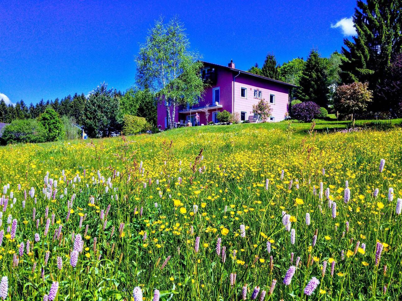 Ganze Wohnung, Mit Bergblick in Neureichenau, Ostbayern